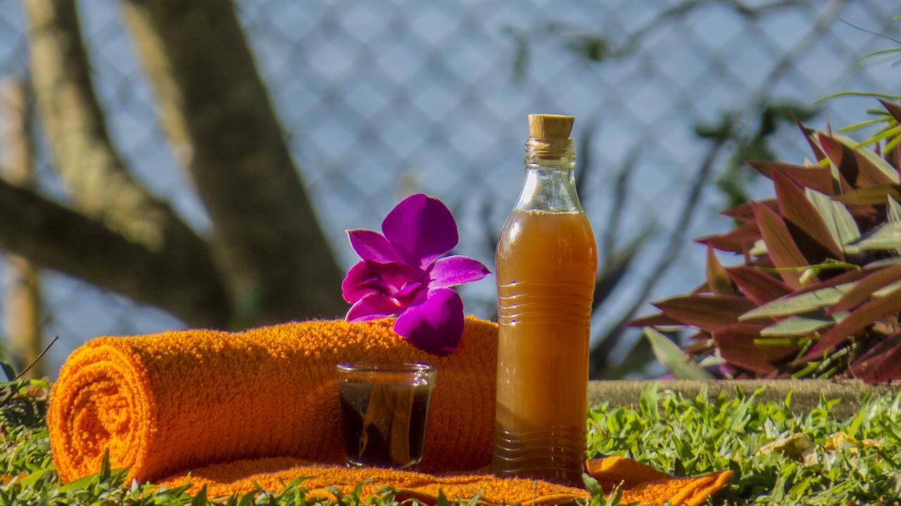 Ayurveda Spring Of Life Piliyandala Exterior foto
